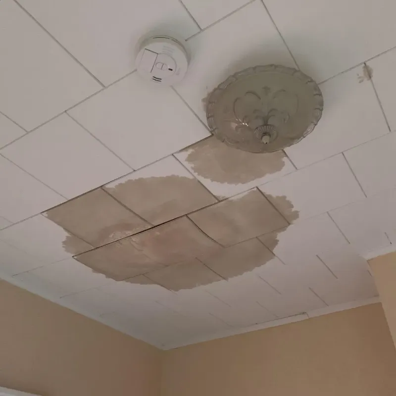 Ceiling Water Damage Repair in Lusk, WY