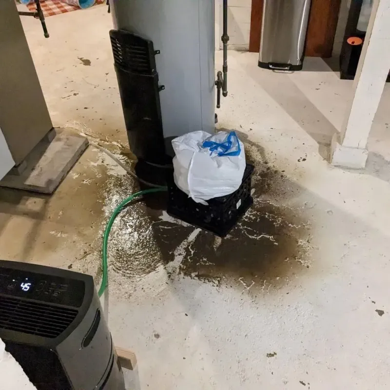 Sewage Backup Cleanup Service in Lusk, WY